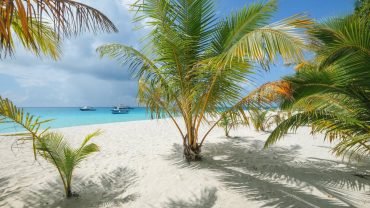 Shark & Stingray Beach In Maldives